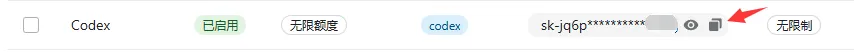 Windows 写入 Codex auth.json