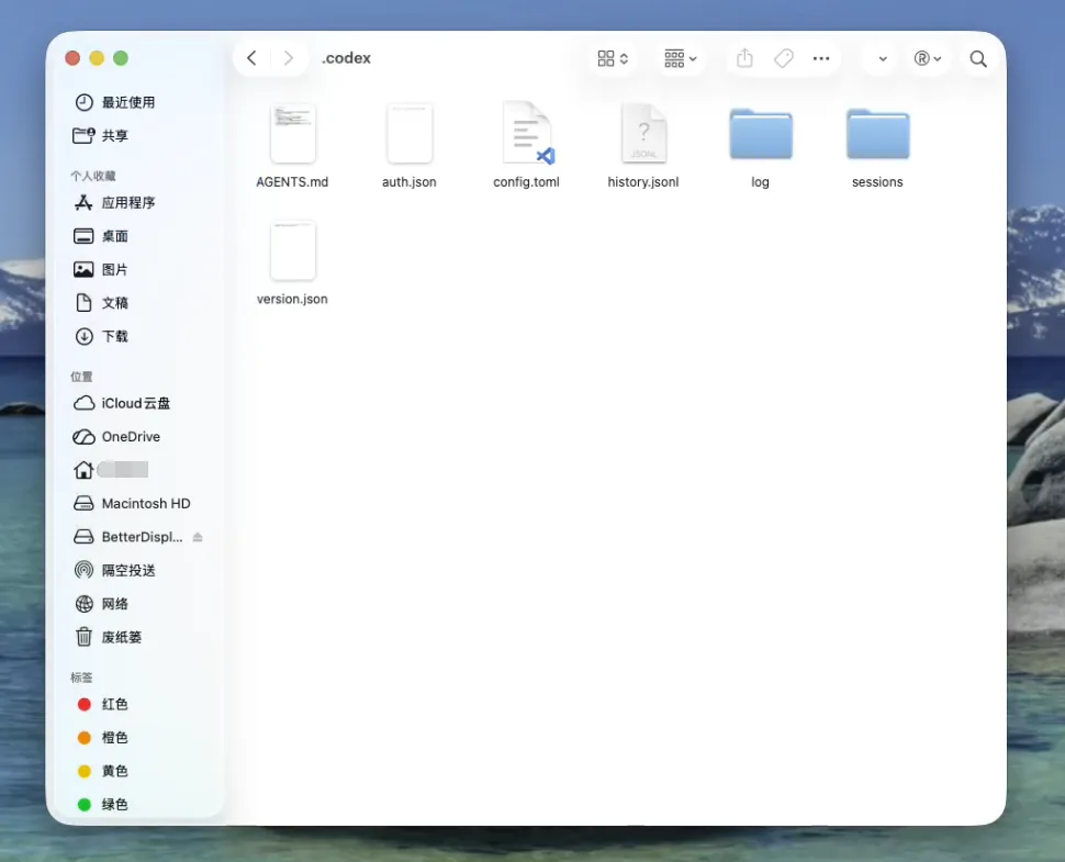 macOS 查看 Codex 配置文件