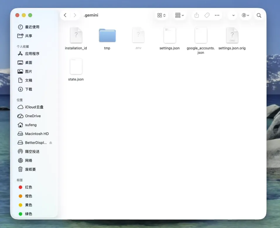 macOS 创建 Gemini .env 文件