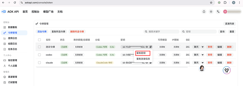 复制 API 密钥